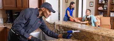 Best Residential Pest Control  in Rocky Point, WA